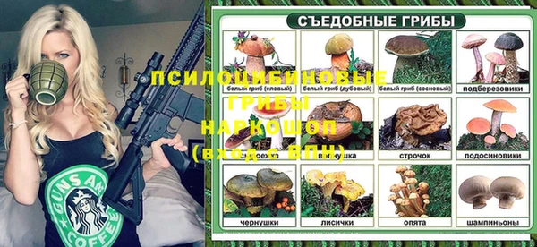 тгк Алексин