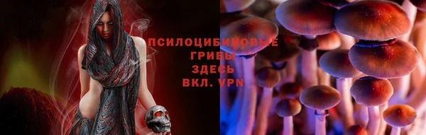 тгк Алексин