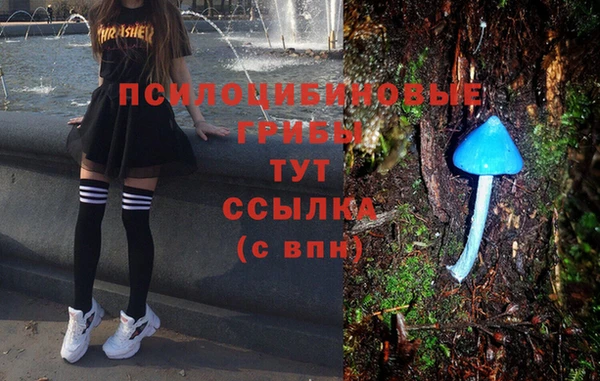 тгк Алексин
