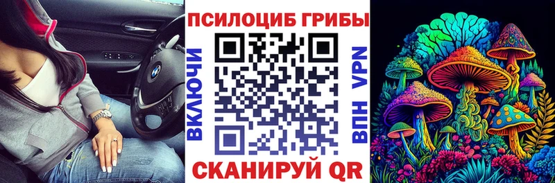 цена Палласовка Псилоцибиновые грибы ЛСД